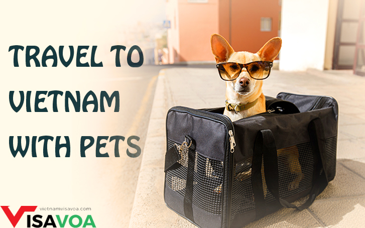 Best way to get Vietnam visa when travelling to Vietnam by air with dogs and cats