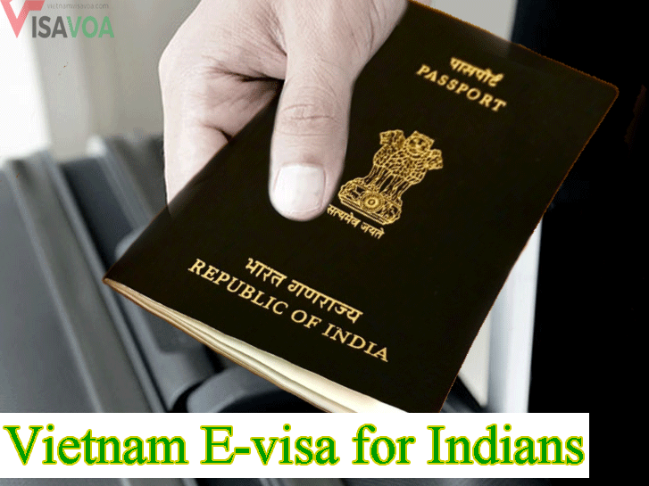 How to get Vietnam E-visa, Vietnam visa on arrival for Indian citizens