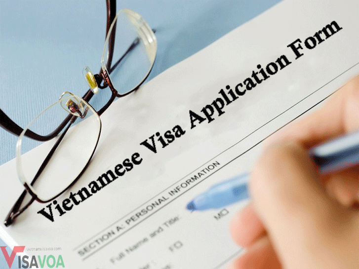 How to fill in Vietnamese visa application form (N1)