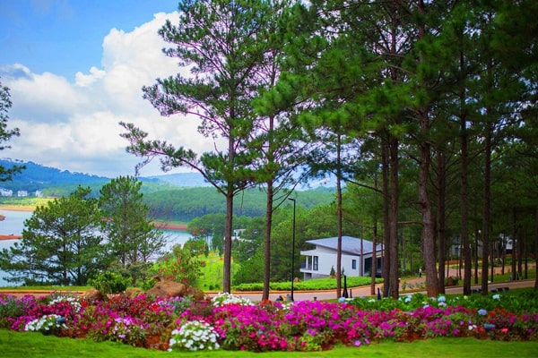 Da lat in Vietnam