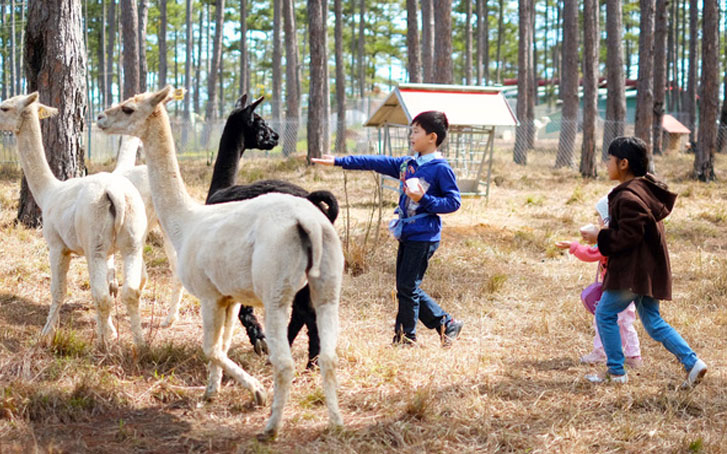 Zoodoo in Dalat