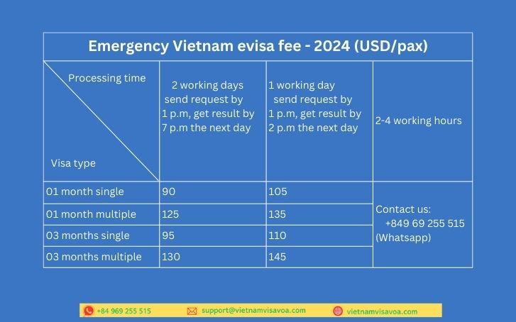 Express Vietnam e-visa service fee for Irish passport holder