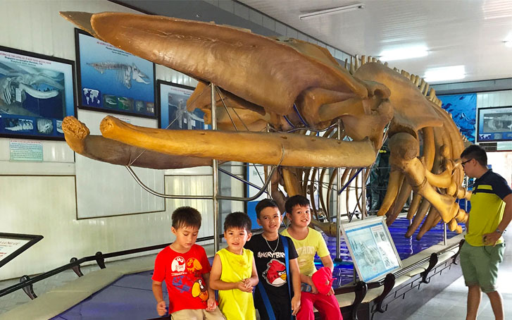 National Oceanographic Museum of Vietnam 