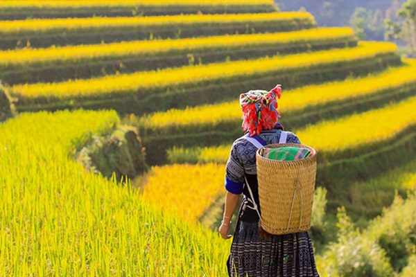 Sapa in Vietnam