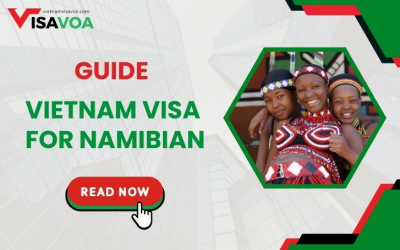 Guidance on a Vietnam visa for a Namibian national